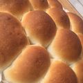 il Silvia Ferry quando ha preparato Panini all'olio con Moulinex cousin companion