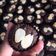 Cooksnap dari Nimas Ayu Hamardika untuk resep Brownies Kering Mini