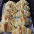 El cooksnap de ilana cuando hizo Medialunas súper esponjosas y deliciosas.