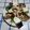 El cooksnap de Albino Alejandro Moreno Martínez cuando hizo Ensalada templada de pollo, con trufa negra.
