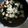 El cooksnap de Irma González cuando hizo Champiñones con espinacas y queso.
