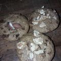 El cooksnap de Magaly Iñiguez cuando hizo Muffins Veganos.