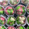 Cooksnap dari mei mei untuk resep Bolu kukus mekar simpel anti gagal ala mamah kece 🥰