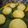 Cooksnap dari Anita Theresia untuk resep Bakpao Ubi Kuning