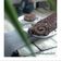 Cooksnap dari Ecy untuk resep Roll Cake Putel