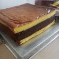 Cooksnap dari Elly Setyorini untuk resep Lapis Surabaya Premium