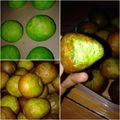 Cooksnap dari Bambang untuk resep Donat (tanpa Telur/kentang)