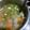 Cooksnap dari Erna T S untuk resep Sup Bola-bola Daging Cincang