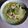 Cooksnap dari theresia avila tri utami untuk resep Soto ayam