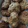 El cooksnap de Johanna Ludmila Romero cuando hizo 🍪🍎 Galletas rápidas de avena y manzana.