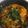 Kate's cooksnap of when they made Onam Vibhavangal-Sambar'.