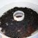 Cooksnap dari Umma Fatimah untuk resep Puding coklat&leci toping oreo dan keju