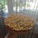 Brigi Cooksnap-ja, amikor elkészítette a(z) Nutellás sajttorta recept sütés nélkül receptet.