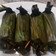 Cooksnap dari Dapur Nabila untuk resep Pepes Tahu Kemangi khas Sunda