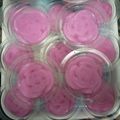 Cooksnap dari Zoel Noto untuk resep Puding mawar cup
