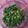 Cooksnap dari Mardiana Yunus untuk resep Tumis Daging Cabe Ijo
