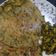 Nasreen का कुकस्नैप जब उन्होंने स्टफड मेथी पराठा (stuffed methi paratha recipe in Hindi) बनाया था।