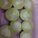 Cooksnap dari fitri yanti untuk resep Kue Cantik Manis Pandan