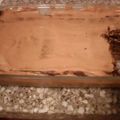 El cooksnap de Tiziana Pérez Oliva cuando hizo Chocotorta facilísima 🎉.
