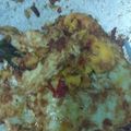 Cooksnap dari iyus yusmiati untuk resep Telur ceplok saus pedas manis