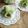 Cooksnap dari tety untuk resep Klepon Cookies