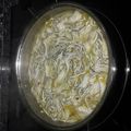 El cooksnap de Javier Perez Apestegui cuando hizo Cocochas de bacalao y gulas.