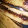 Cooksnap dari "Pawoen_vadyl" untuk resep Martabak Manis