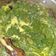 Cooksnap dari Vita Irawan untuk resep Sayur daun singkong kuah santan