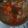 El cooksnap de Walter Moreyra cuando hizo Liebre al escabeche.