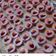 Cooksnap dari TITIN Tri Azka untuk resep Puding sus stobery dengan toping buah naga.