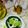 Cooksnap dari Riana Rasyahlee untuk resep TAKJIL BONGKO PISANG FEAT. FIRHAN MASTERCHEF INDONESIA S6: SPESIAL BY SISCA SOEWITOMO