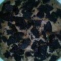 Cooksnap dari Ayu Putrhii untuk resep Bolu Oreo Pemula 🍰