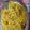 Sayantika Sadhukhan's cooksnap of when they made হোমমেড চাউমিন (homemade chow mein recipe in Bengali).