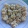 Cooksnap dari ramizamom's untuk resep Onde onde ketawa mini