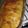 El cooksnap de melyssa balbuena cuando hizo Carrot Cake Osvaldo Gross.