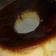 El cooksnap de talia collazo cuando hizo Budín de pan licuado.