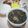 Cooksnap dari indy hindiyah untuk resep Miyeok-guk (Sup Rumput Laut)