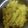 Ankita Kapil Varshney's cooksnap of when they made Moong dal halwa.