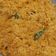 Cooksnap dari Andriyani Arifin untuk resep Sambal kelapa urap (insya allah ndk cepat basi)