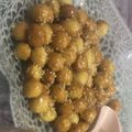 صورة من لمياء الحربي، شاركها بعد تجربة وصفة لقيمات (عوامة)
