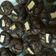 Cooksnap dari Sayyidah Zulkarnain untuk resep Chewy Brownies Cup #pr_adakejunya