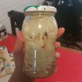 El cooksnap de Mariana Molina cuando hizo Cebollas encurtidas.