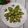 Ruby Bose's cooksnap of when they made পটল মিষ্টি (potol mishti recipe in bengali).