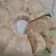 Cooksnap dari Ifa Mey untuk resep Puding Roti Agar-Agar