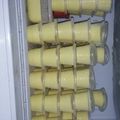 Cooksnap dari AienAini untuk resep Eskrim Durian