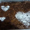 El cooksnap de Luna Lunera Cascabelera cuando hizo 🎄 Brownies Caseros 🎄.
