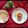 SHYAMALI MUKHERJEE's cooksnap of when they made কাঁচা আমের চপ (Kancha Aamer Chop recipe in bengali).