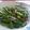 Chaitali Kundu Kamal's cooksnap of when they made পেঁয়াজ পাতা আলু ভাজা(Penyaj pata aloo bhaja recipe in bengali).