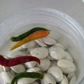 Cooksnap Intan Sofia semasa beliau membuat Petai Jeruk.