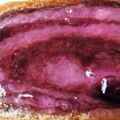 Gyuláné Sisa Cooksnap-ja, amikor elkészítette a(z) Kakaós kelt kalács receptet.